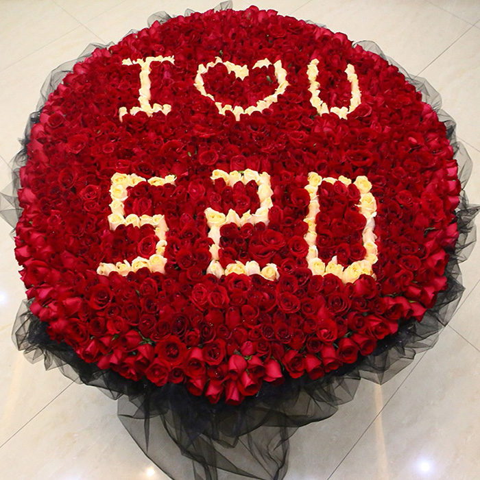 520