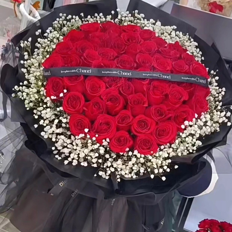 鲜花图片