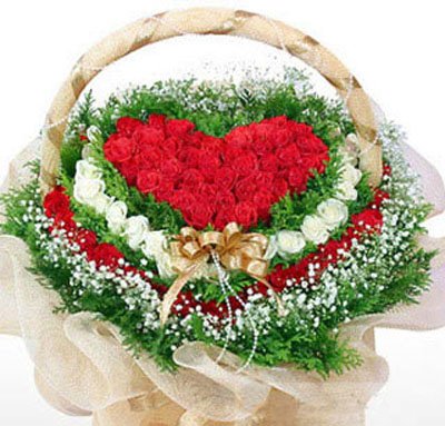 鲜花图片
